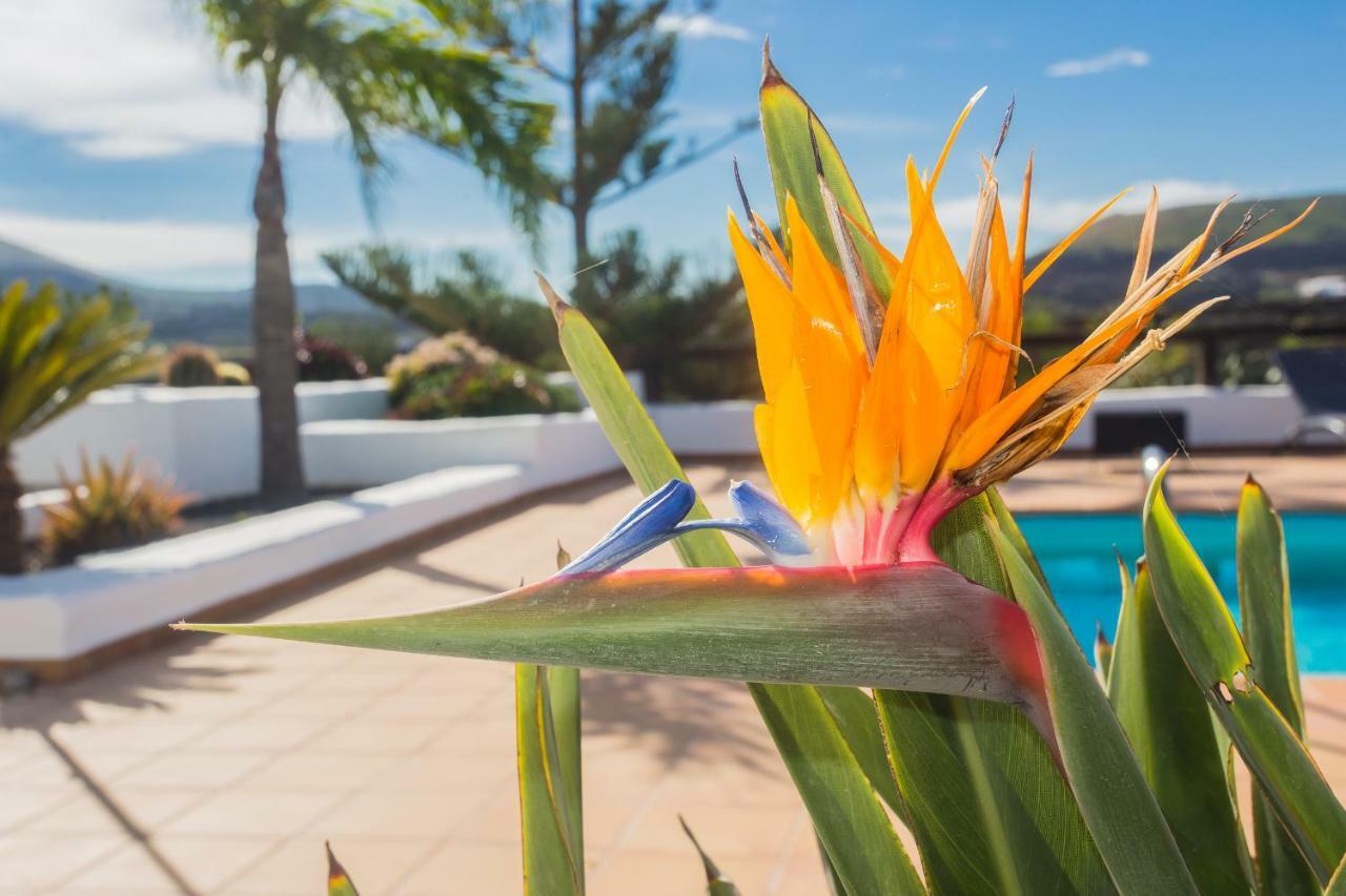 Casa El Quinto Villa La Vegueta Luaran gambar